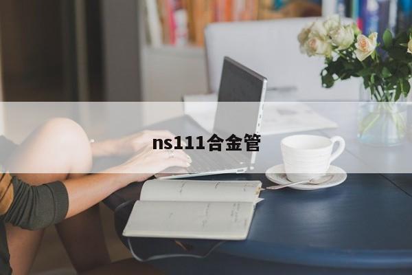 ns111合金管